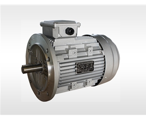 YE3 series aluminum motor